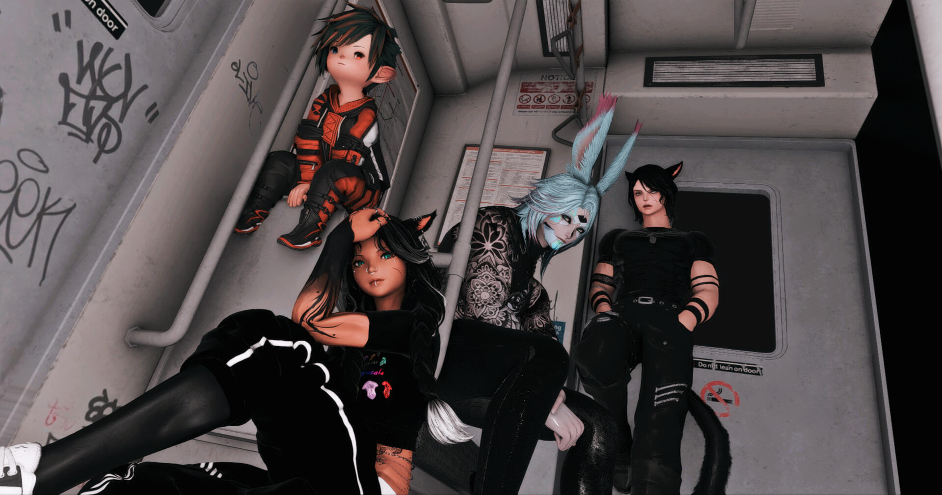 Viverra orci dapibus